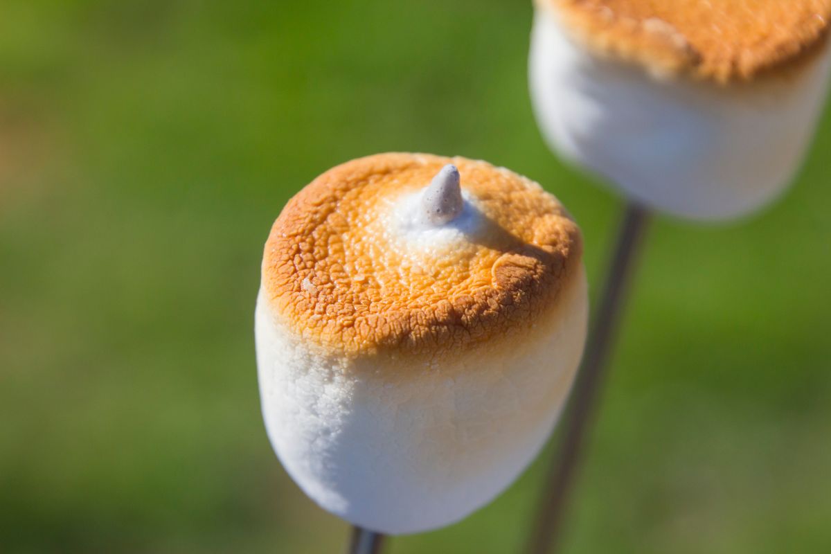 Roasted Marshmallow Sticks: Sweet Campfire Magic