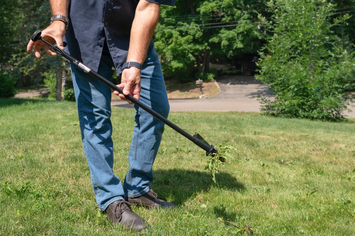 Weeding Made Easy: Using Your New Easy Weeder™