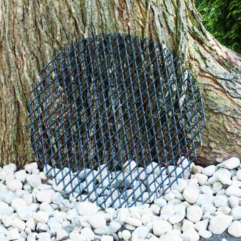 ember catcher beauty shot in front of tree