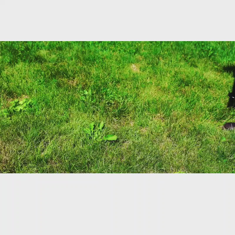 simply step down, pull out, and press the knob to remove weeds