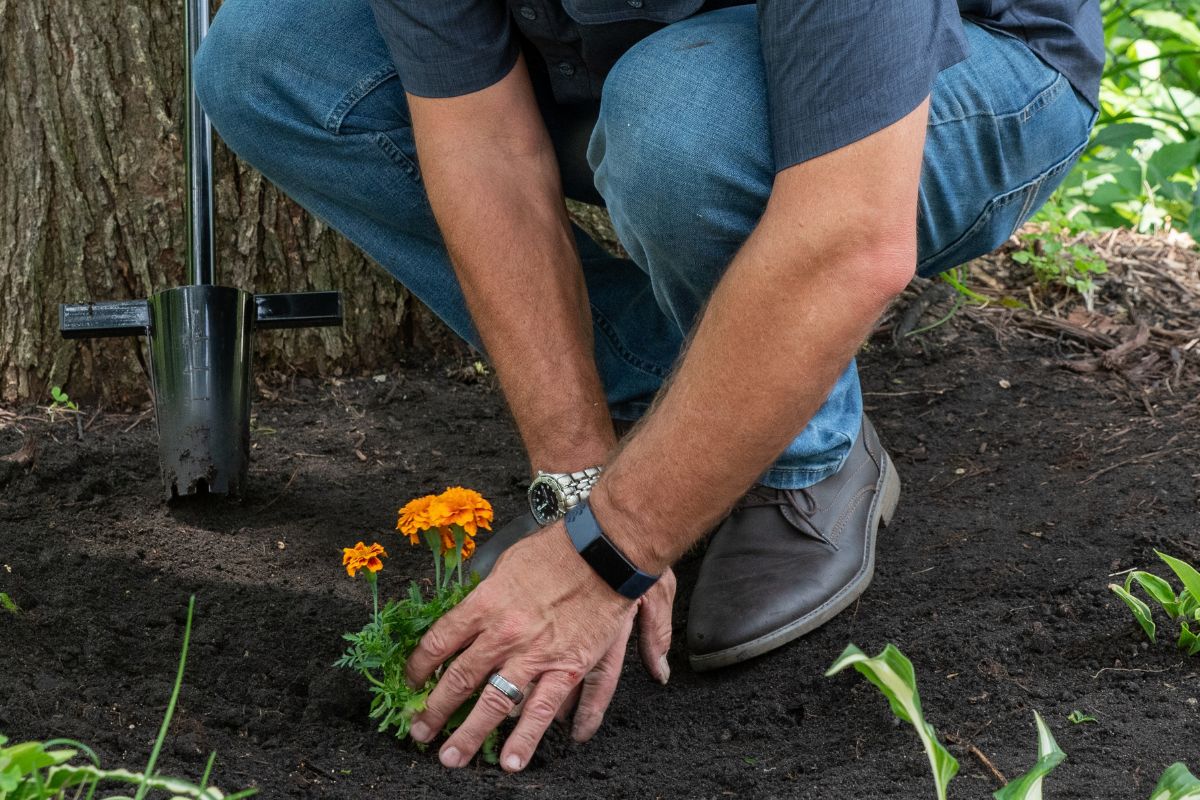 Spring Revival: Preparing the Yard for your Best Backyarding® Yet