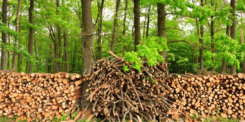 How to Burn Freshly Cut Firewood in a Firepit? | Firewood | Walden Backyards