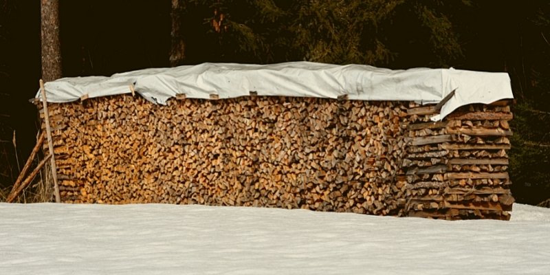 Should I Cover Fresh-Cut Firewood? | Firewood | Walden Backyards