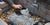 Tips on What to Do With Ashes From Campfires | Firepit Ashes | Walden Backyards