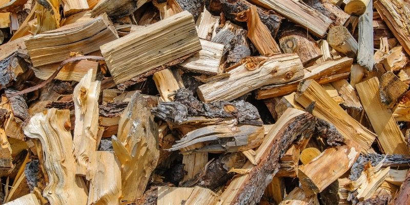 What's the Best Wood to Burn in a Campfire