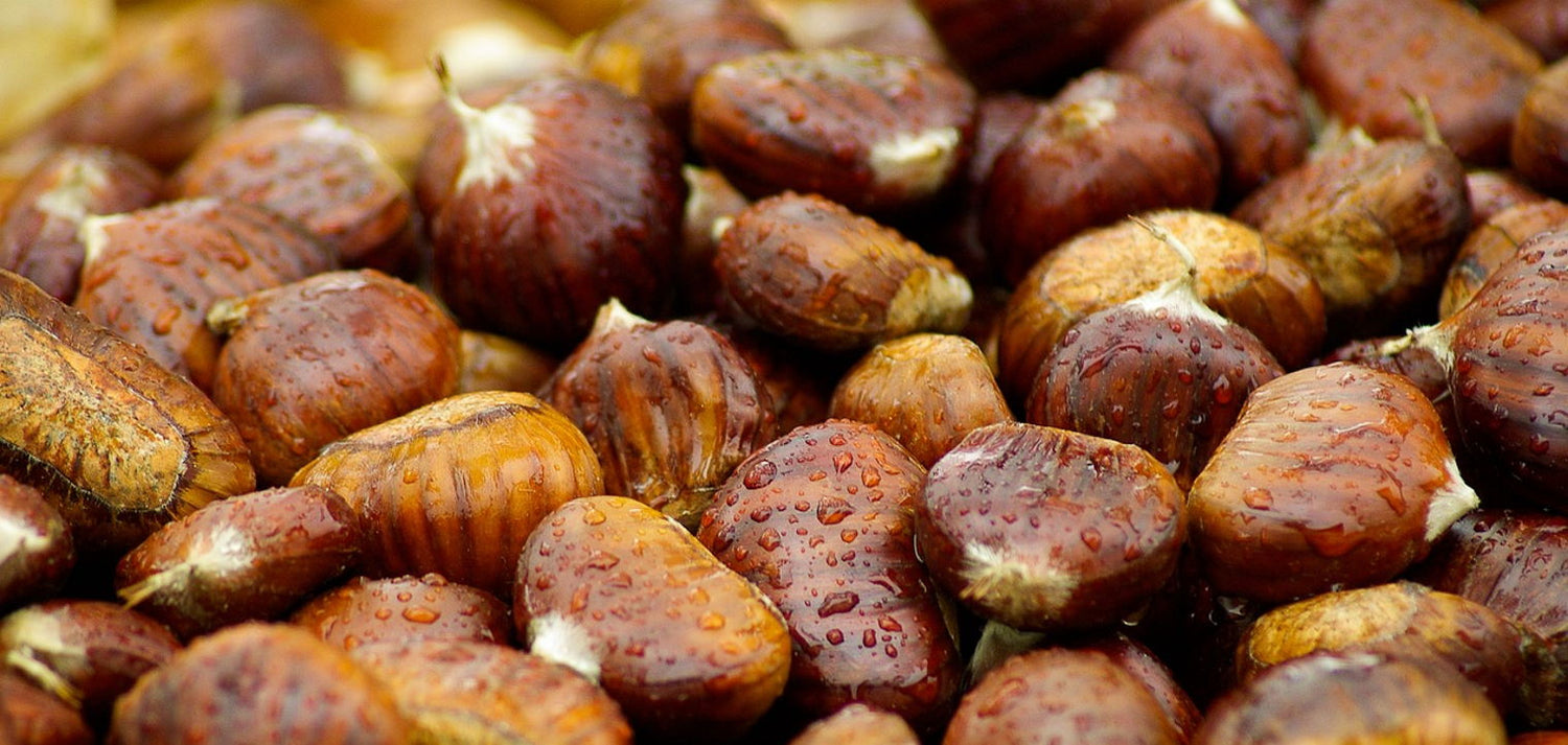 Chestnuts Roasting on An Open Fire Pit