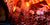 Fire Pits - Ember Catcher - Blazing Fire