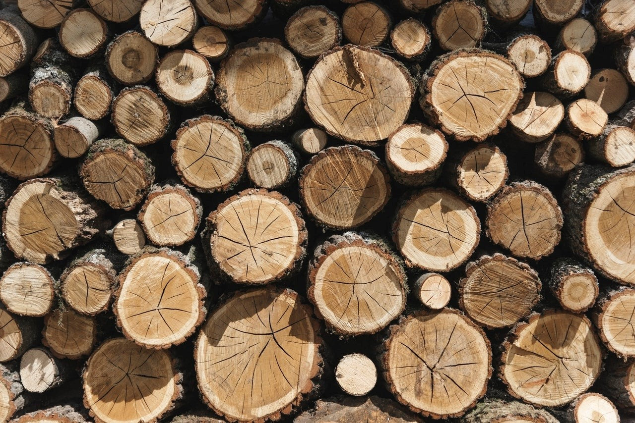 Stack of firewood