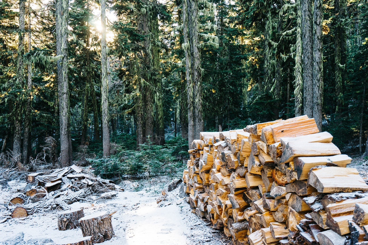 Stack of firewood in the yard