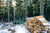 Stack of firewood in the yard