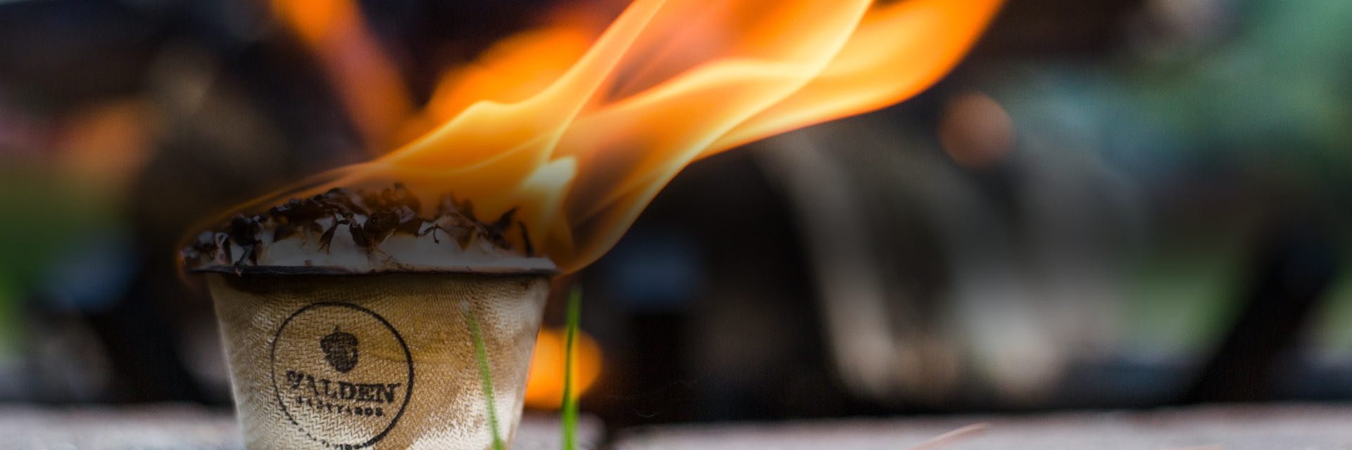 Walden Sure Fire Starter Ablaze