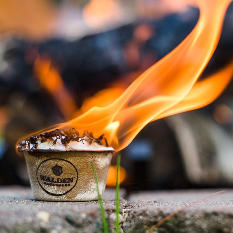 Walden Backyards Fire Starter