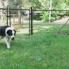pick up pet waste easily and cleanly with the simple scooper